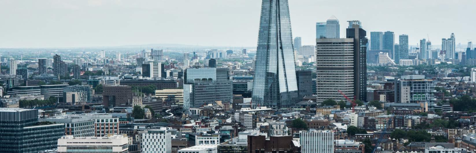 Regional Real Estate Consultancy Services