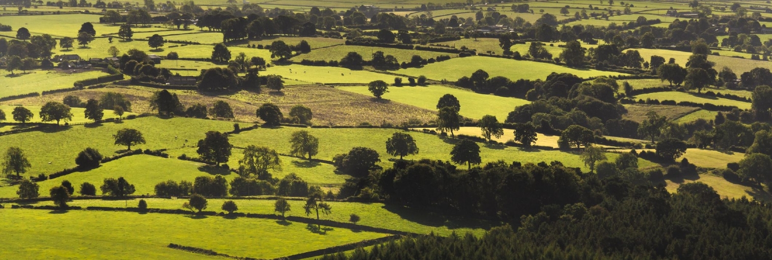 Land Valuation Services Land Valuation Services