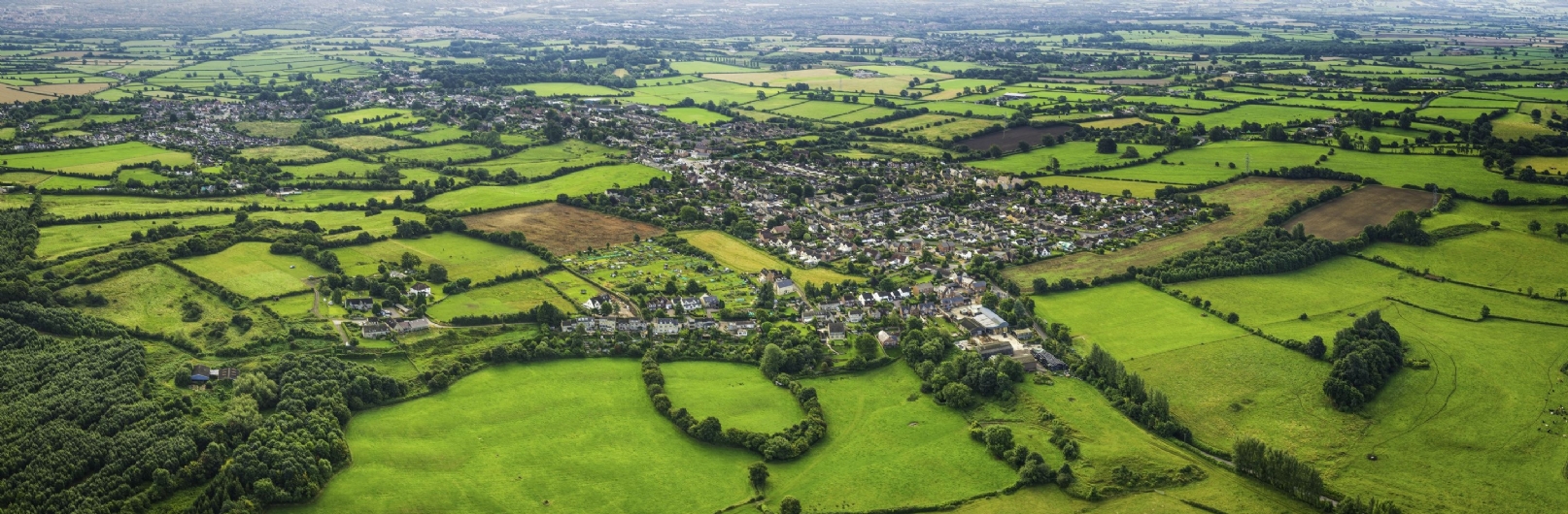 Buying or Selling Land