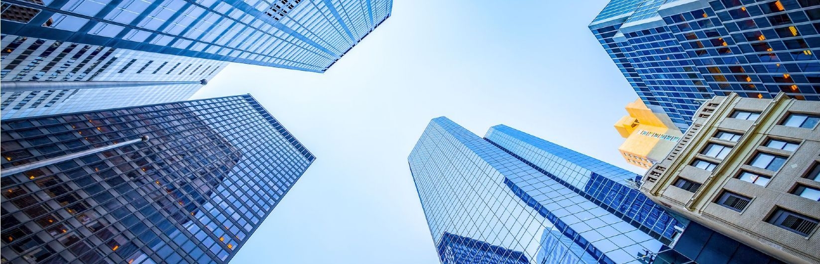 Real Estate Letting or Renting Services
